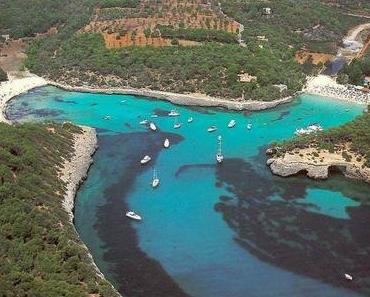 Die „Sättigung“ von Mondragó überstieg im Sommer 60%