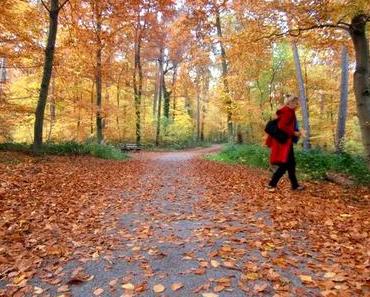Der Oktober läutet den Herbst ein