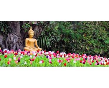 8 Lebensweisheiten von Buddha dem Reisenden