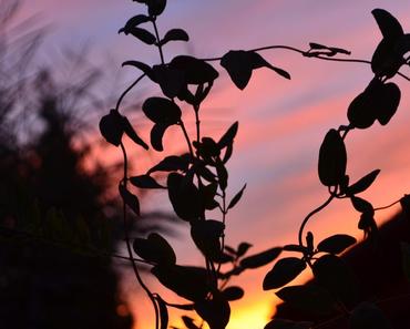 wallpaper-1689754