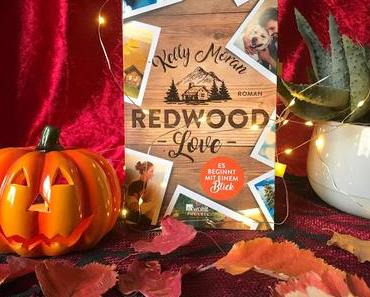 Das überhypte Herbstbuch - Redwood Love "Es beginnt mit einem Blick"