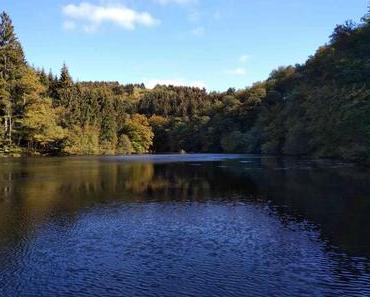 Biber-Suche an der Wuppertalsperre