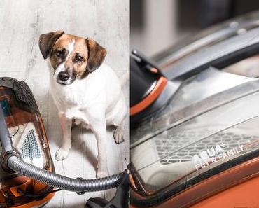 [Anzeige] Wohnen mit Hunden – Fellfrei Dank dem THOMAS AQUA+ PET & FAMILY