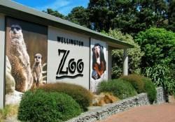 Internationale Anerkennung für Wellington Zoo