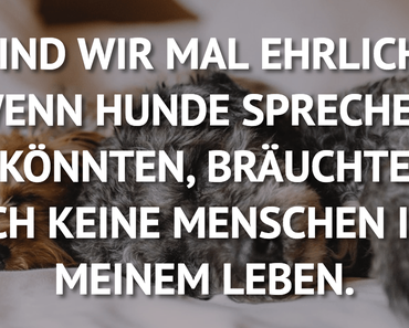 wallpaper-1689754