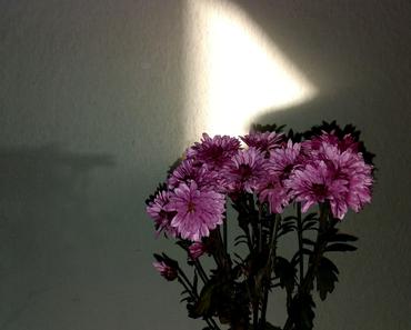 wallpaper-1689754