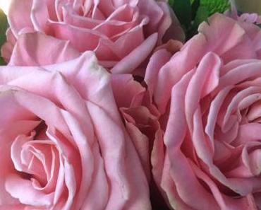 Friday-Flowerday – oder – Der Herbst kann auch rosa sein