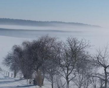 wallpaper-1689754