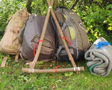 Roycroft-Frame – Der Frame