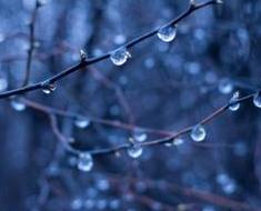 wallpaper-1689754