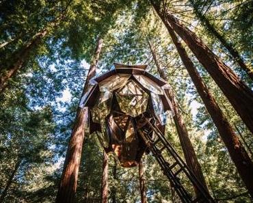 O Tannenbaum! – Einzigartiges Baumhaus in Form eines Kieferzapfens zu verkaufen