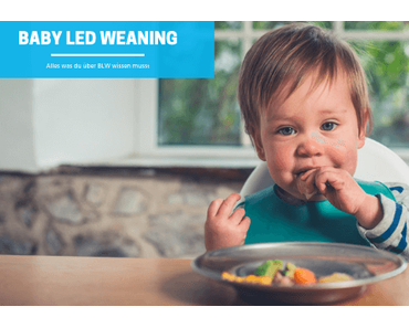 Baby Led Weaning – Alles Wichtige zu BLW!
