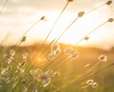wallpaper-1689754