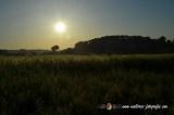 wallpaper-1689754