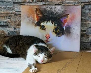 Mit Pix Mix habe ich eine Erinnerung der ganz besonderen Art an Püpschen #Bilder #Katzen #Watercolor