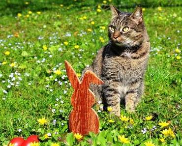 Ostern mit Katze und Hund