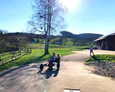Urlaub auf dem Bauernhof - Schweizermichelhof im Schwarzwald