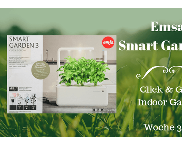 Emsa Smart Garden 3 – Woche 3+4