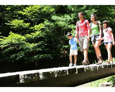 Erholung und Naturgenuss: die Alpen im Sommer