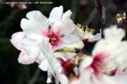 wallpaper-1689754