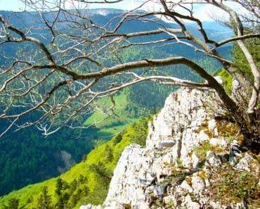 Isch war auf die Tablettes