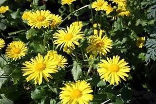 ..und ich bekam Schwierigkeiten, die mich stark machten.