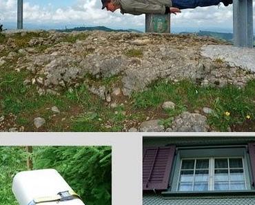 Planking, Spitzbub und Bienensex