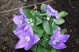 Vergeude Deine wertvolle Lebenszeit nicht mit törichtem Streit!