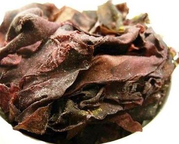 Dulse Algen – Der Geheimtipp unter den Superfoods