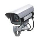 Pegasus dreht wieder seine Runden