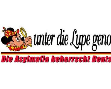 Die Asylmafia beherrscht Deutschland