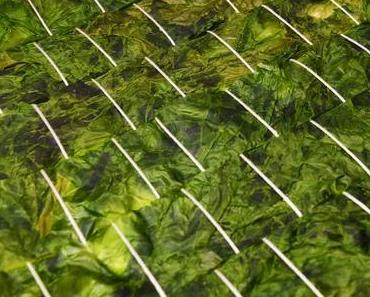 SEAmpathy untersucht vegane Materialien aus Algen