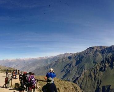Der Colca Canyon im Süden von Peru: Zu Gast bei den Kondoren