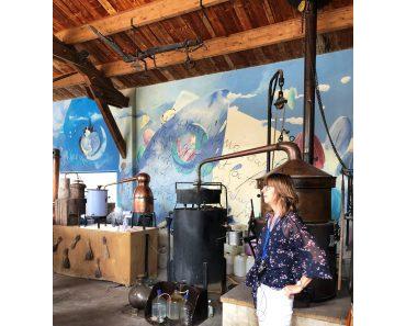 Mit der Bijou du Rhone nach Viviers und zur Ardéche Tag 4 der Flussreise