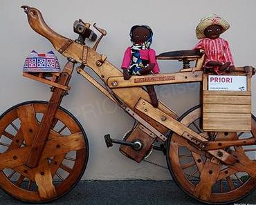 PRIORI Madagaskartag