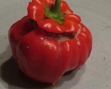 Gefüllte Paprika „Maghreb-Style“