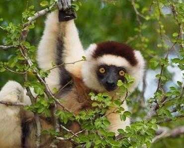 PRIORI-Kleingruppenreisen 2020