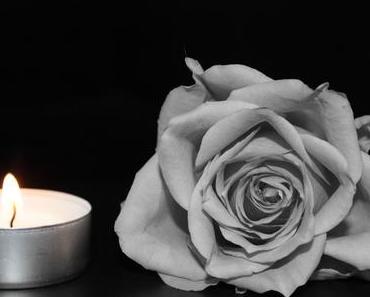 Halle. Mein Herz weint.