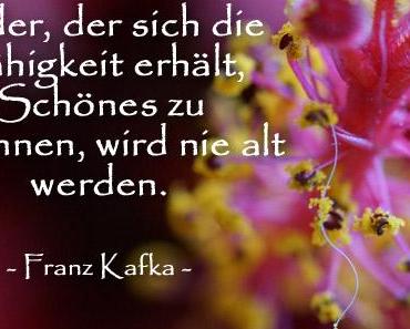 wallpaper-1689754
