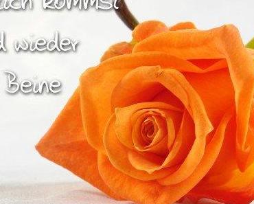 wallpaper-1689754