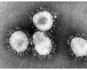 Infektion mit neuen Coronaviren verläuft großteils harmlos
