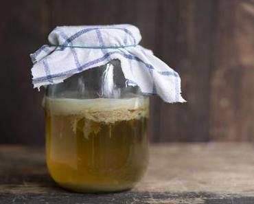 Kombucha selber machen: Die ersten Schritte mit dem Teepilz