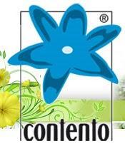 tolle und personalisierte Geschenke?  - Contento.de