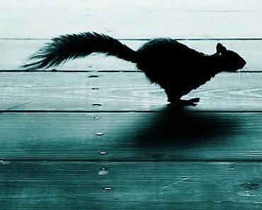 wallpaper-1689754