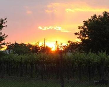 Hamburg, Du meine Perle ♥ (1)