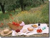 Picknick