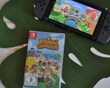 Familien-Party auf der virtuellen Insel: Animal Crossing New Horizons
