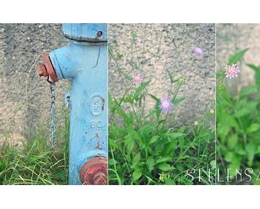 An der Mauer, in der Ecke...