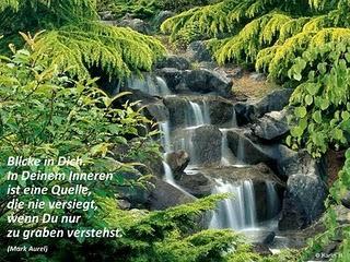 wallpaper-1689754