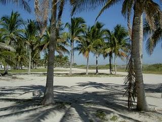 Das Leben belohnt uns nur, wenn wir nicht aufgeben